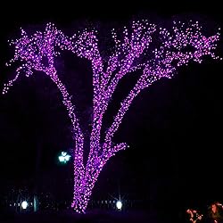 DAZZLE BRIGHT Halloween 300 LED String