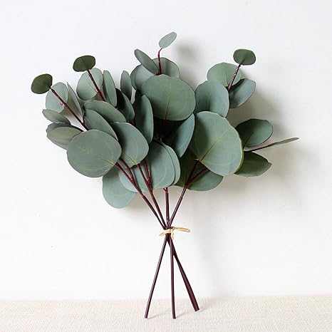 Amazon Ahvoler 8個パック 人工ユーカリラウンドリーフ フローラルステム フェイクグリーンシルバー ダラー ユーカリリーフスプレー ウェディングブーケパーティー ホームクラフト装飾用 グリーン 人工観葉植物 オンライン通販