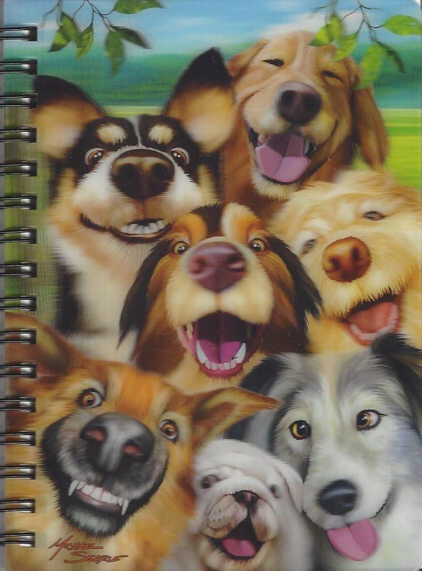 3D LiveLife Jotter