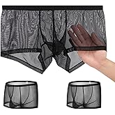 ZONBAILON Mens Mesh Sexy Sheer See Through Boxer Briefs Bulge Enhancing Pouch Trunks Underwear Pack M L XL 2XL 3XL