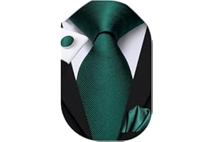 Dubulle Mens Paisely Silk Tie for Men Necktie and Pocket Square Set
