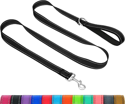 Taglory Dog Leash Reflective Double Sided Neon Black 2 cm 120 cm
