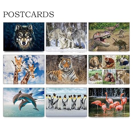 Variety Of Farm Animals Stock Photo Image Of Animal 19571672
