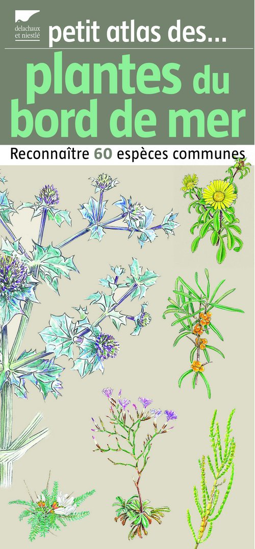 Amazon Fr Plantes Du Bord De Mer Reconnaitre 60 Especes Communes Terrisse Jean Mansion Dominique Livres