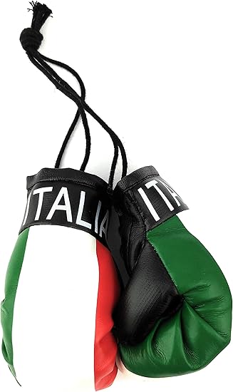 italian boxing gloves for car