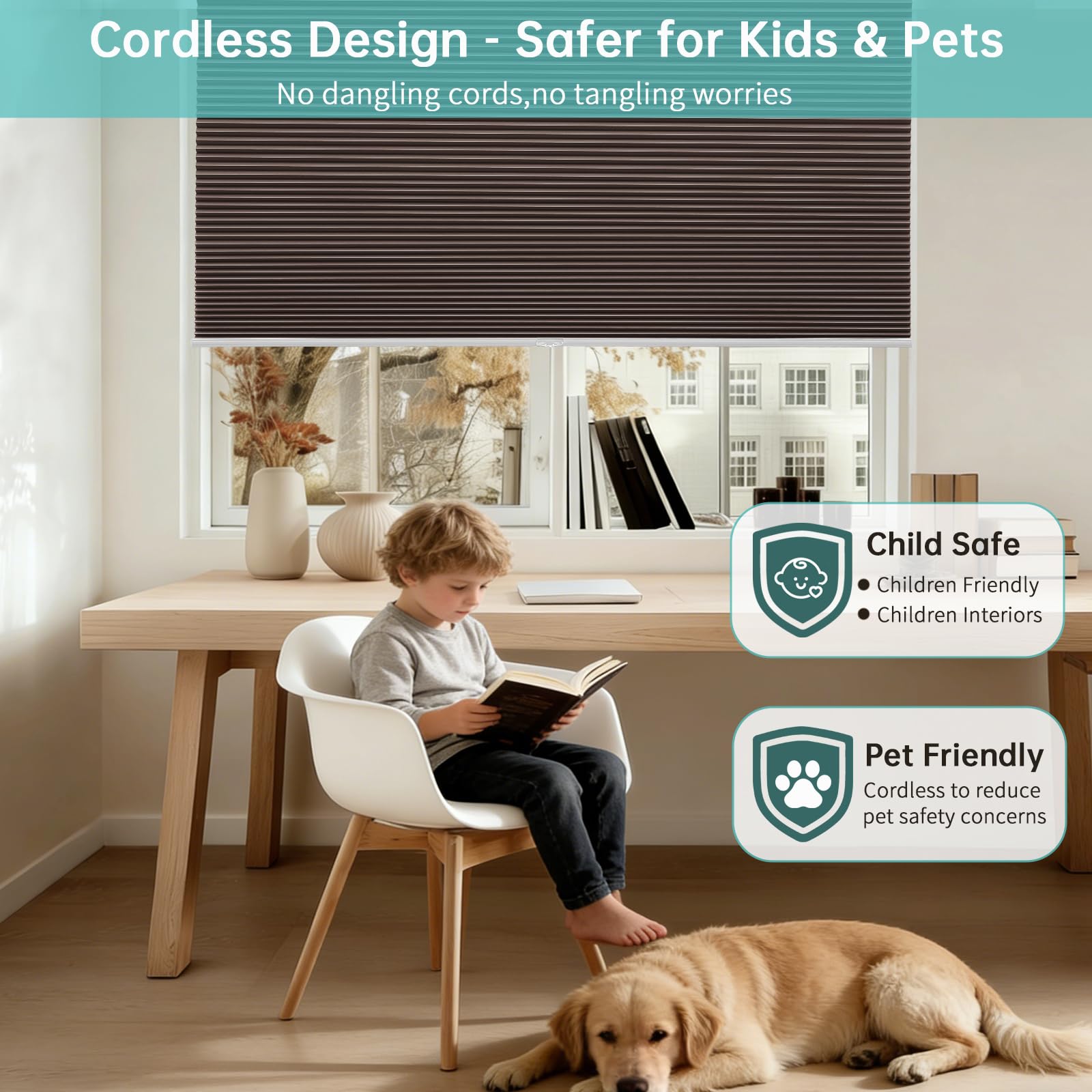https://images-na.ssl-images-amazon.com/images/I/71hF8P5gg1L.jpg