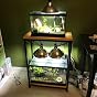Caitec Doppel-Aquarium-Ständer Für 10-Gallonen-Becken – Maße: 22,5" L X 31" H X 10,5" B, Öffnung 18,75" X 8,75"