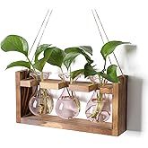 Plant Propagation Station Plant Terrarium Unique Birthday Gifts for Women Home Office Decor Planter with Wooden Stand - 3 Bulb Glass Vase