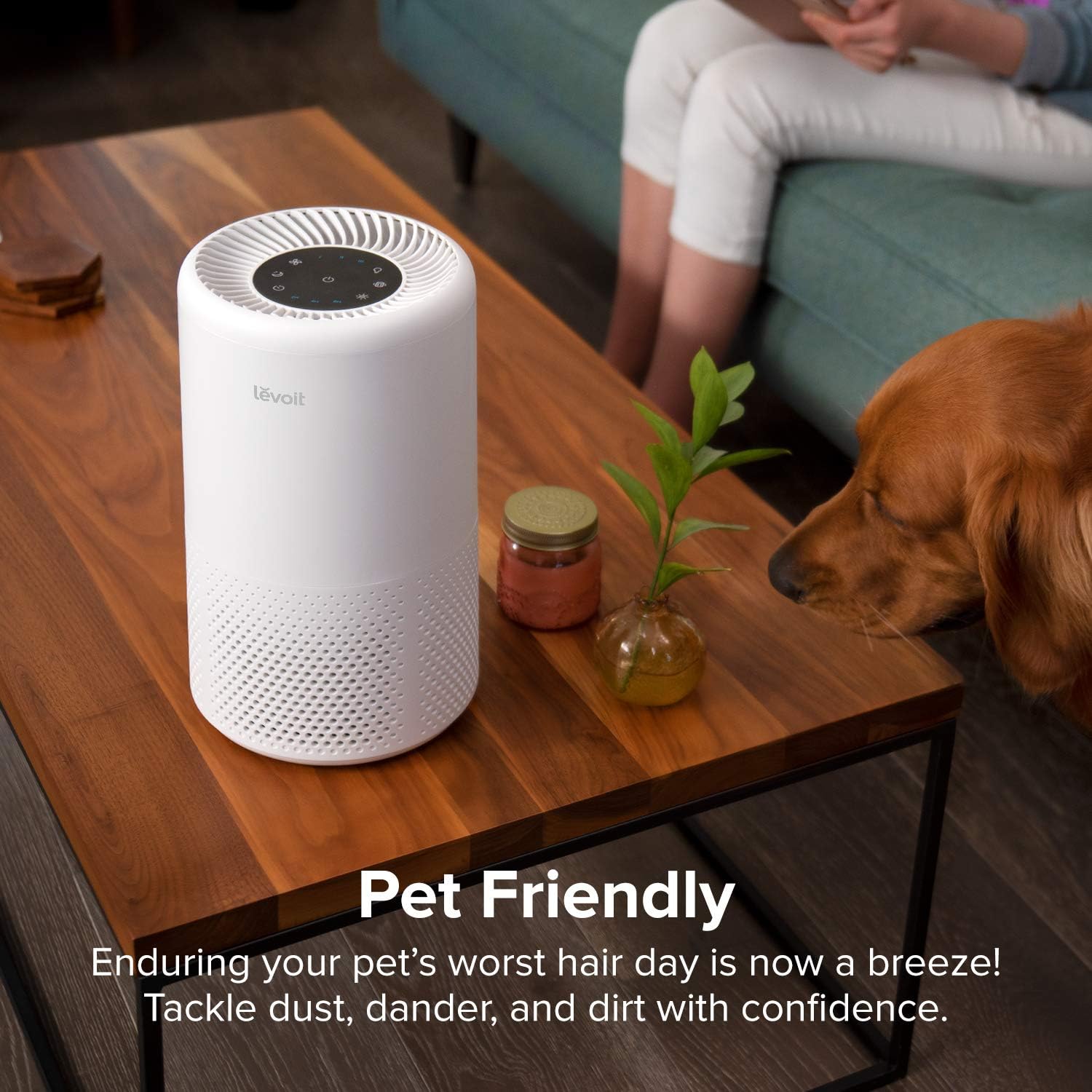 Vista200 Luftreinigung Mit Schlafmodus Timer Nachtlicht Levoit Luftreiniger Air Purifier Mit Hepa Kombifilter Aktivkohlefilter 3 Stufen Filterung Gegen Staub Allergien Geruche Rauch Ac Adapter Zubehor
