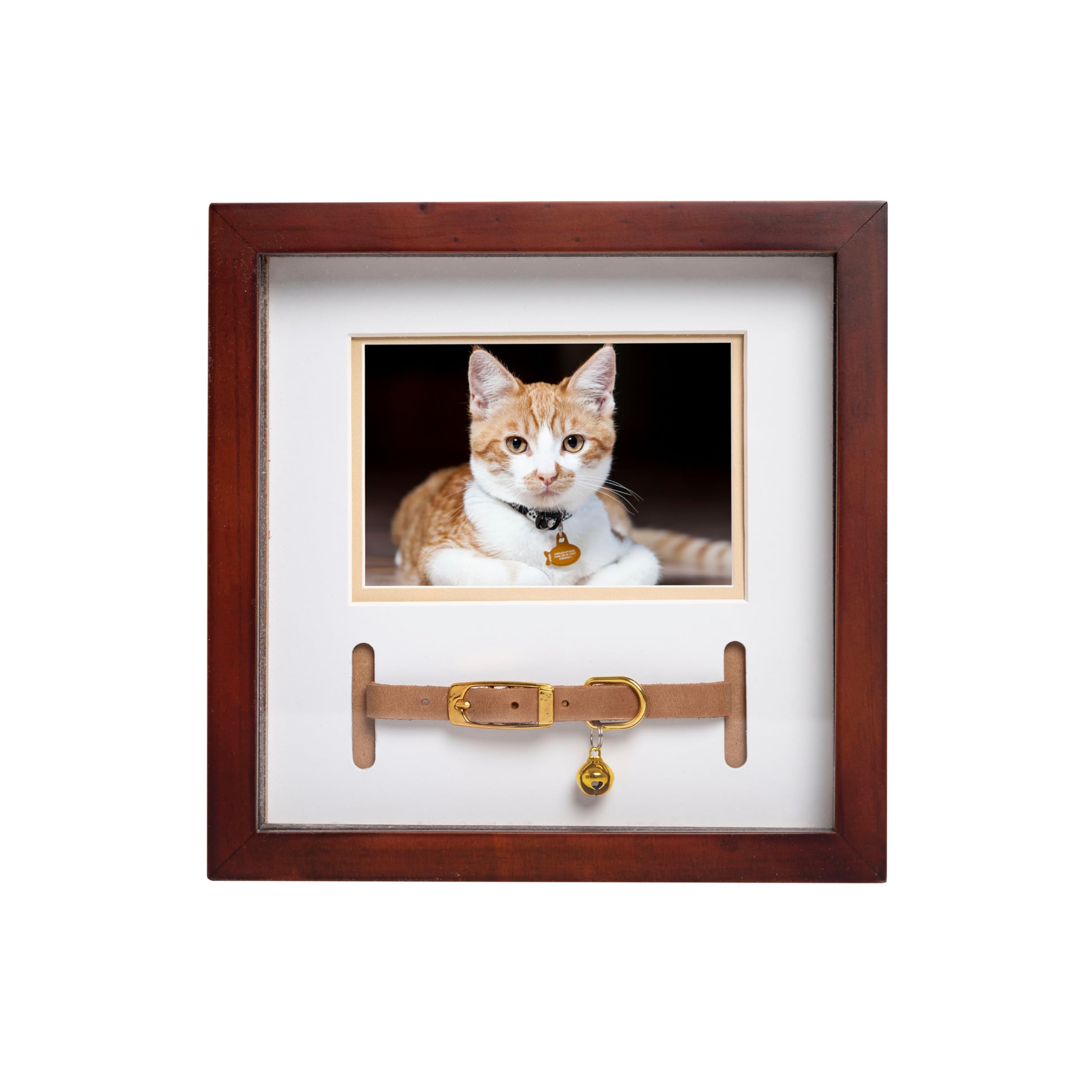 Pearhead Pet Collar Keepsake Frame - Dual Display Memorial Keepsake for Cat & Dog Collars, Wall Mount or Tabletop, and Home Decor for Pet Owners, Espresso โ image 1