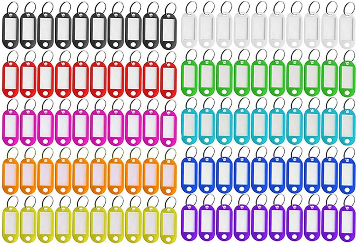 100 Pack Tough Plastic Key Tags with Split Ring Label Window, Assorted Colors