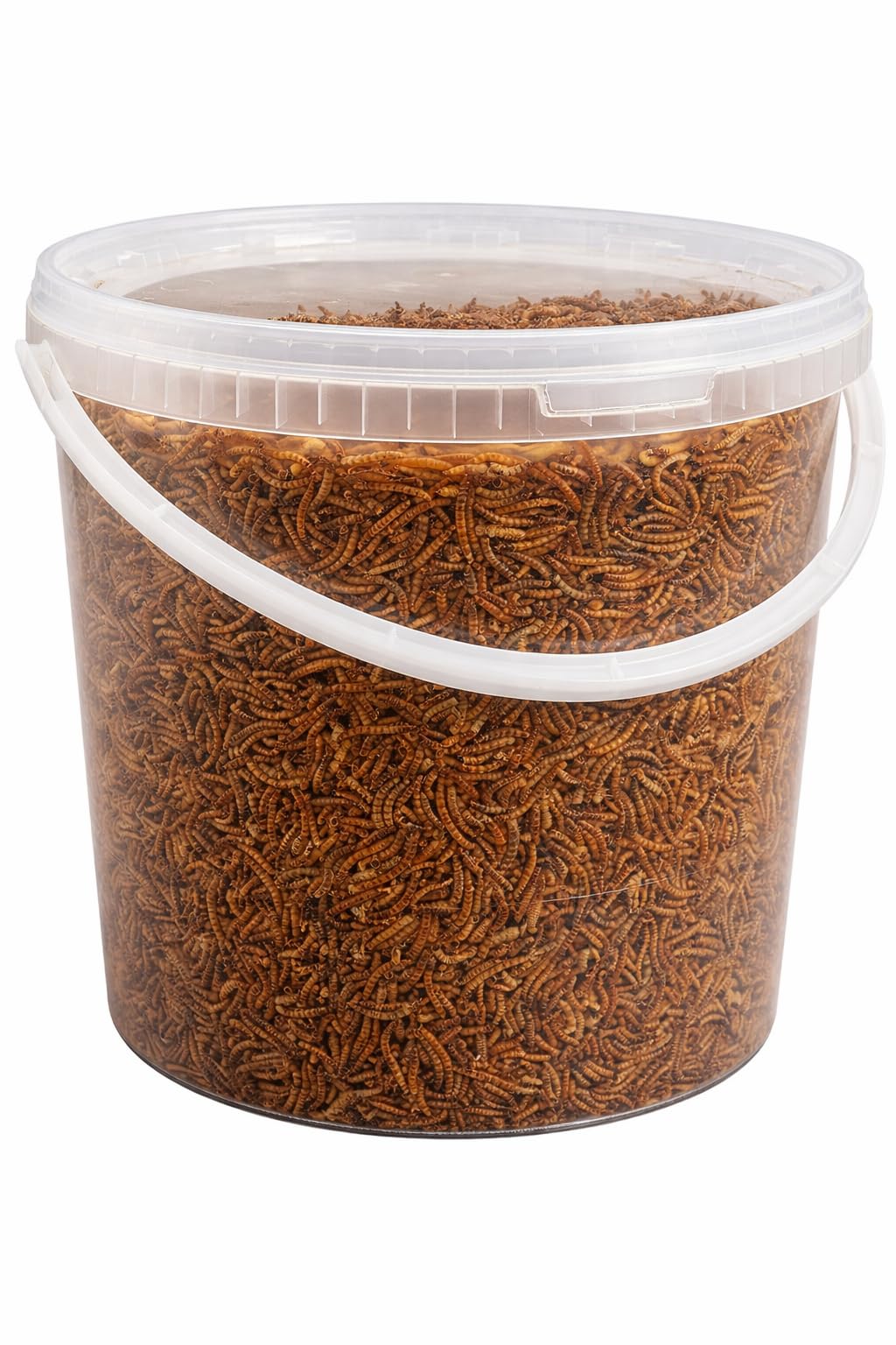 Premium Dried Mealworms, 10 Litre Bucket