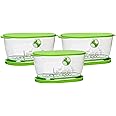 Prepworks from Progressive LKS-06 Lettuce Keeper(3 Pack)