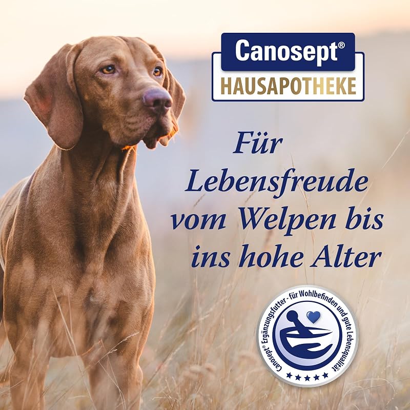 Darmflora Hund - 30 Tabletten