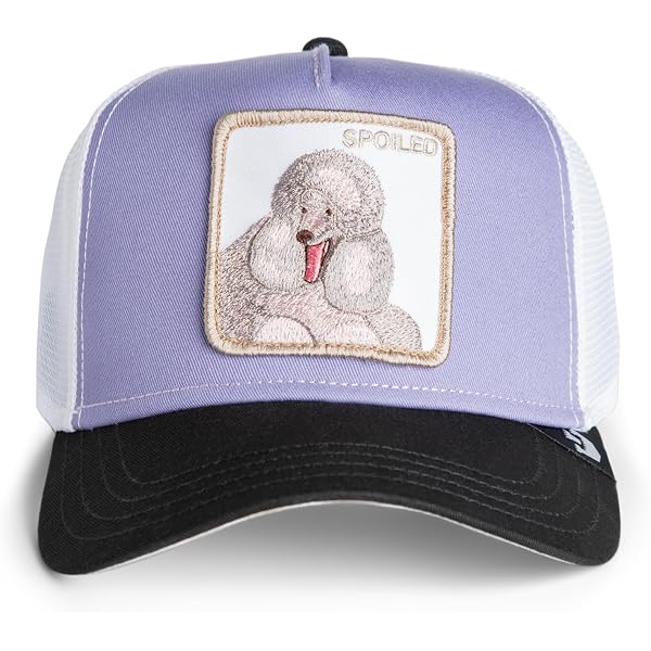 Goorin Bros Limited Edition “Spoiled” Poodle Hat Goorin Bros | Accessories | Goorin Bros Limited Edition  main image 2