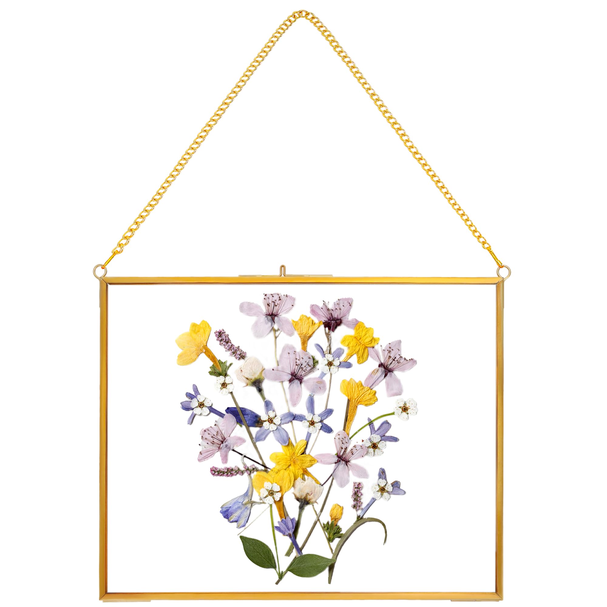 REDHUGO Hanging Pressed Flower Frame Handmade, Double Glass Picture Frame Floater frame Floating Frame for Pressed Flowers Home Wall Artwork, Rectangle Horizontal 8×10 inches, Gold