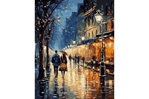 DoMyArt Paint by Numbers Kit for Adults Beginners, DIY Acrylic Painting on Canvas Home Decor Wall Art (Street After Rain, 16x20 Inch, No Frame)