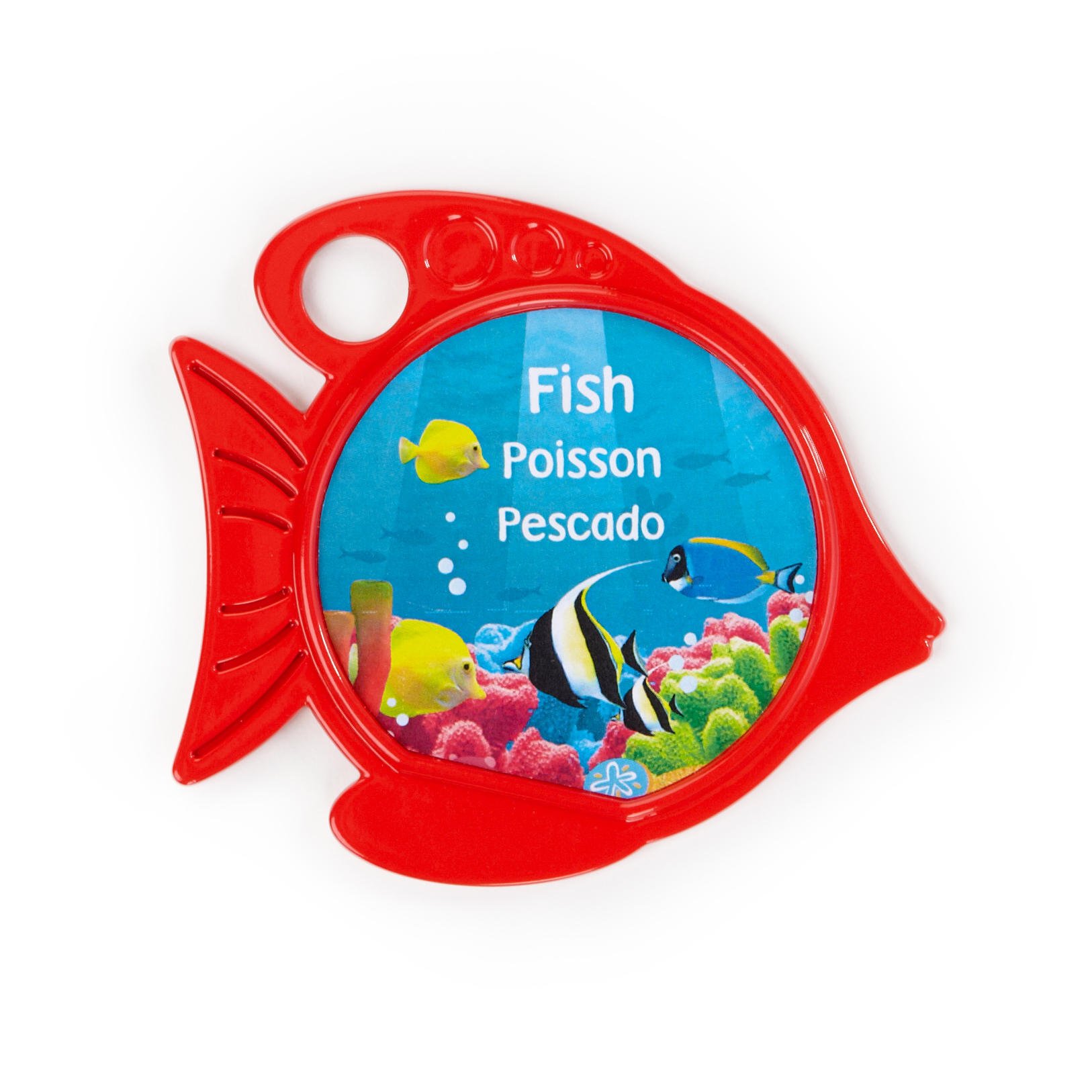 rhythm of the reef play gym