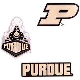 Desert Cactus PU Purdue Boilermakers Acrylic Magnet 3-Pack (A) | Officially Licensed Purdue University 3 Pack Decorative Logo Acrylic Magnet for Souvenir, Fridge and Collectible