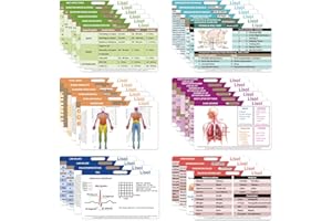 YLOVAN 28 Nursing Badge Reference Cards, Nursing School Essentials Student Gifts Success Bundle Supplies Nurse Must Haves Study, RN LPN PA CNA Accessories for Work Vital Signs Kit Cheat Sheets EKG Badge Card