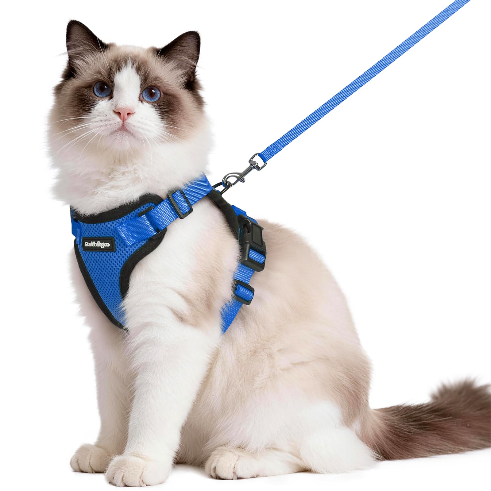 rabbitgoo Cat Harness and Lead Set, Adjustable Escape Proof Cat Lead for Walking, Reflective Kitten Harness Set, Soft and Comfortable for Medium to Large Cats, Blue, M — image 1