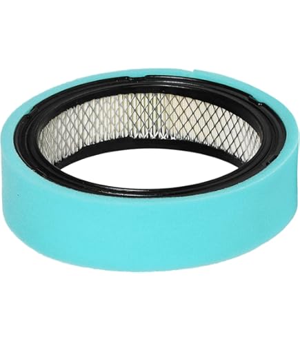 くろの Amazon.com : Miller 198755 Air Filter,Robin (Eh64/65) Onan