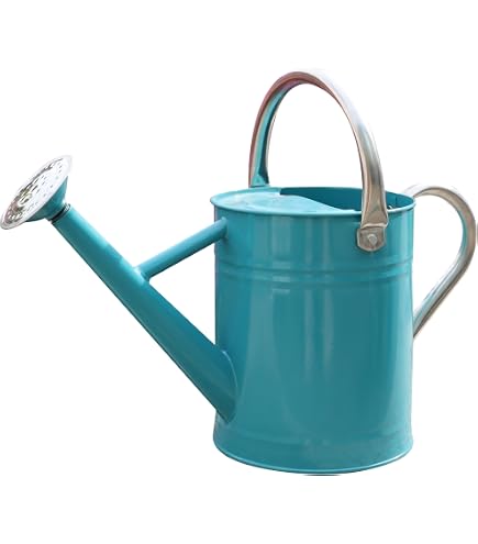 Amazon.com : Gardener Select (W3003GT-DB-6) Metal Watering Can