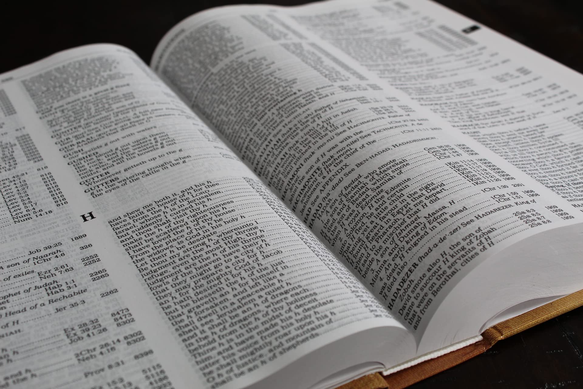 The New Strong's Exhaustive Concordance of the Bible: Every Word of the Bible Indexed, Large Print Edition The New Strong's Exhaustive Concordance of the Bible: Every Word of the Bible Indexed, Large Print Edition Hardcover