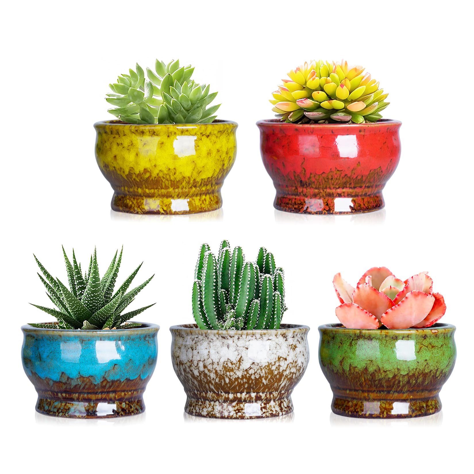 ARTKETTY Succulent Plant Pots - Ceramic Cactus Plant Pots with Drainage Pack of 5, Small Plants Pots for Indoor/Outdoor Plants Flower Bonsai Plant Container Bowl