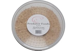 Predator Foods Bulk Live Mealworms - 1,000 Count (Large - ~.75")
