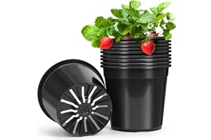DUNPUTE 10 Pack1 Gallon Pots for Plants, 1 Gallon Plastic Nursery Pot with Drainage Holes, Sturdy Plastic Plant Pots for Nursery Garden, Flowers, Succulent Outdoor Indoor (Black, 1 Gal- 10 Pack)