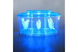 Alfie Pet - Baird Betta Aquarium Kit with 2 Dividers - Color: Blue