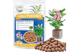 ZeeDix 2LBS Expanded Clay Pebbles for Hydroponics - pH Neutral Hydro Balls 4mm-16mm Lightweight Leca Clay Pebbles for Plants Drainage Aggregate, Aquaponics, Indoor Gardening & Succulents