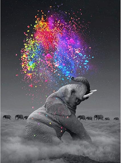 5D Diamond Painting Kits for Adults 