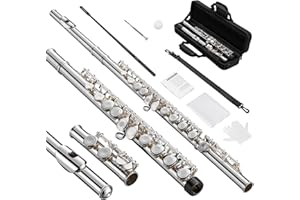 POGOLAB Open Hole C Flute, 16 Keys Student Flute Instrument for Beginner Advanced Player, with Carry Bag, Strap, Gloves, Adjustment Screwdriver, Cleaning Kit (Open/Closed Hole, Silver Plated)