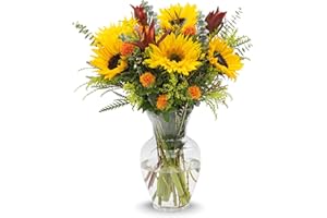 Stargazer Barn - Wildflower Bouquet (Includes Glass Vase) - Fresh Flowers for Delivery - Gift for Anniversary, Birthday, Congratulations, Get Well, Graduation, Sympathy