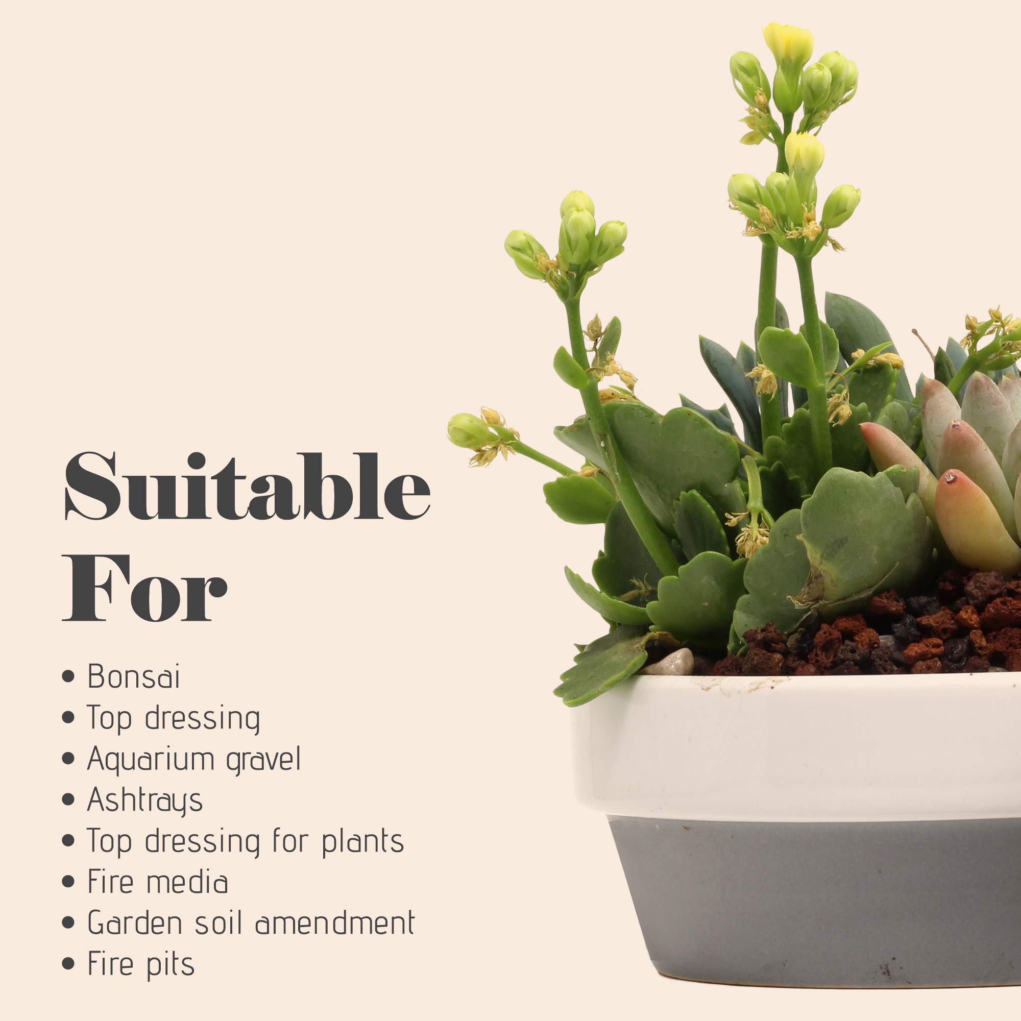 Bonsai Jack Red/Maroon 1/4 inch Horticultural Lava Rock Soil Additive