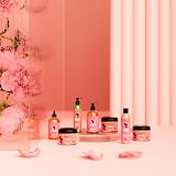 Camille Rose Fresh Curl Styling Cream & Detangler Gel Avocado Castor Oil 240ml view 9