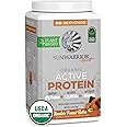 Vegan Protein Powder Plant-Based USDA Organic BCAAs | 27g Protein per Serving | Sugar Free, Gluten Free Non-GMO Dairy Free | Peanut Butter Chocolate Flavored, 20 Servings | Active Sport Protein Powder