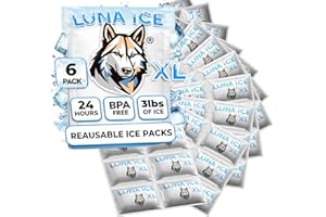 LUNA ICE Dry Ice Packs for Shipping XL - Long lasting ice packs - 24+ Hour Freeze Power - BPA Free - 6 Pack Bulk 3 lb – Hielo Seco - Reusable Gel Bricks for Food