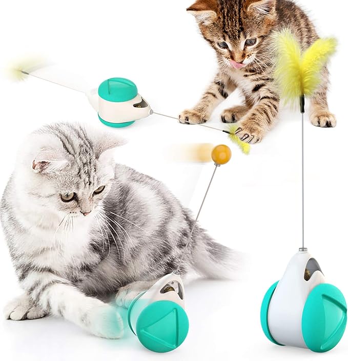 kittens favorite toys
