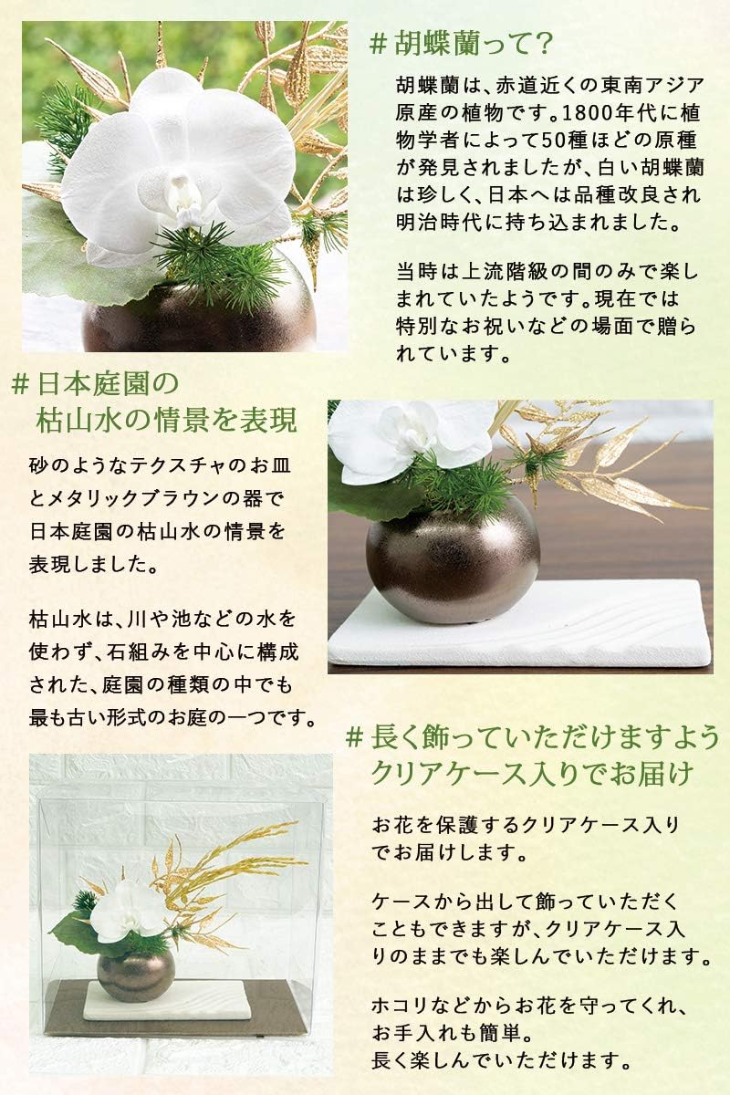 Amazon Co Jp Flabel Preserved Flowers Mountain Water Won T Wither Phalaenopsis Orchid Japanese Style Arrangement Home Kitchen