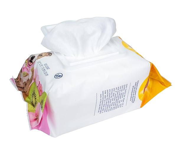 ARM & HAMMER FOR PETS ODOR CONTROL DOG WIPES, DEODORIZING WIPES WITH BAKING SODA FOR DOGS BETWEEN BATHS, GENTLE CLEANING PET GROOMING WIPES FOR EVERYDAY FRESHNESS, KIWI BLOSSOM SCENT, 100 COUNT