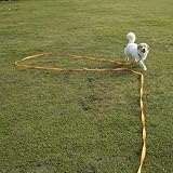 Vivifying 32ft Dog Training Lead Nylon Leash 10m Orange Padded Handle view 6