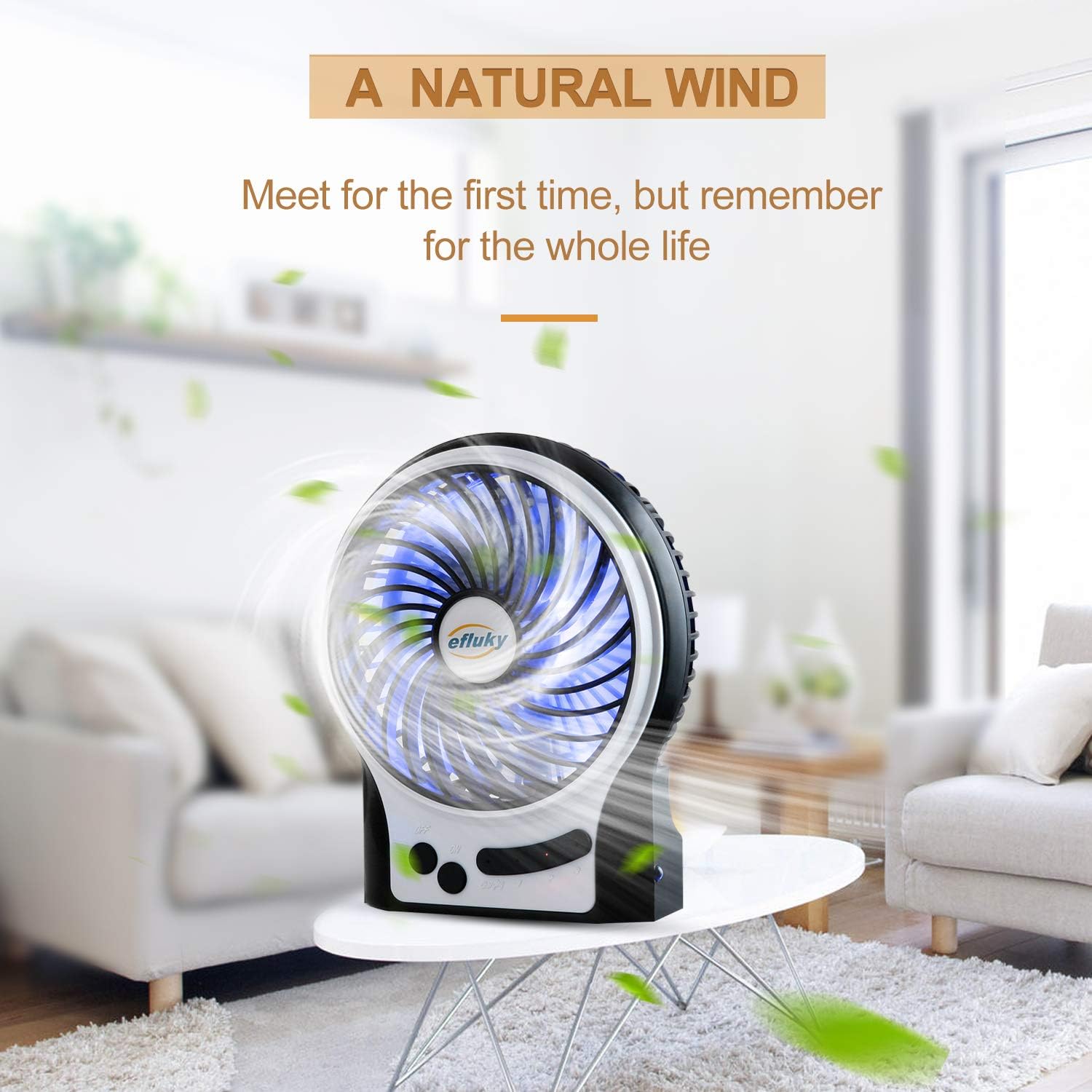 efluky 3 Speeds Mini Desk Fan, Rechargeable Battery Operated Fan with LED Light and 2200mAh Battery, Portable USB Fan Quiet for Home, Office, Travel, Camping, Outdoor, Indoor Fan, 4.9-Inch, Black: Home & Kitchen