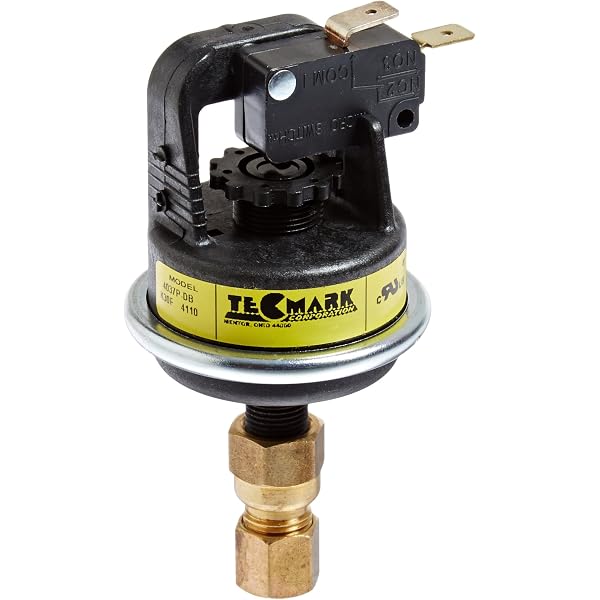 Amazon.com: Raypack 062237B Pressure Switch : Patio, Lawn u0026 Garden