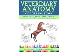 Veterinary Anatomy Coloring Book: Complete Cat, Dog & Horse Anatomy and Physiology with Detailed Skeleton & Muscle Illustrati