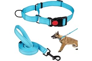 MTLIEPTE Martingale Dog Collar and Leash Set Martingale Collars for Dogs Reflective Martingale Collar for Small Medium Large Dogs(Sky Blue&L)