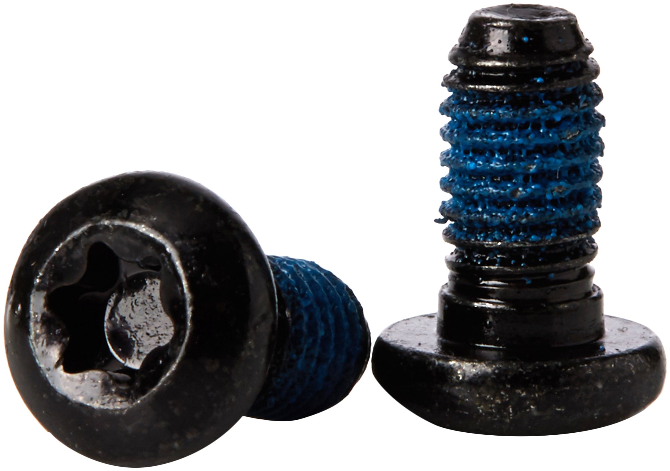 Avid Rotor Bolt Kit T25 Steel, 11.5015.069.330 - 24 Pieces