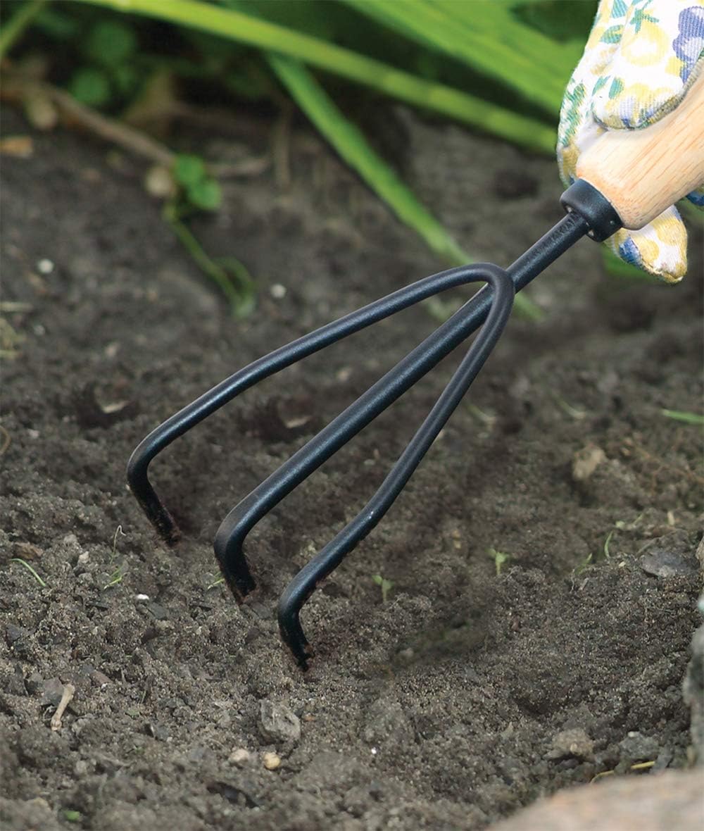 AMES 2446300 Tempered Steel Hand Cultivator with Wood Handle, 11-Inch : Garden & Outdoor